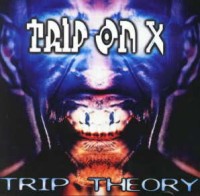 Ttheor1.jpg (15636 bytes)